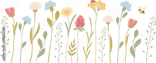 Wildflower Border With Bee