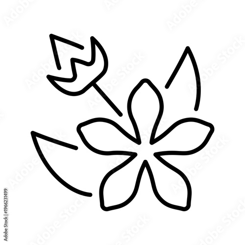 Hypericum flower icon. Science and herbs line symbol. Black and white.
