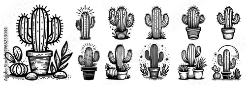 Potted cactus and succulents collection, rustic engraving style desert plants set, hand drawn saguaro houseplant vector