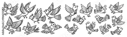 Hand drawn birds collection, cute doodle avian sketches set, flying and perching songbirds vector illustration