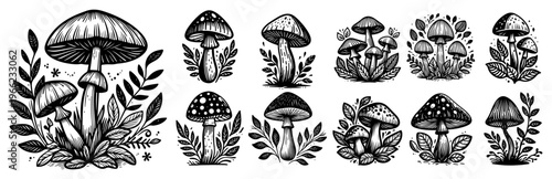 Hand drawn mushrooms and forest plants collection, engraving style fungus with botanical leaves, rustic nature illustration set vector