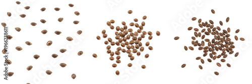 Foto Passion Fruit Seeds (Passiflora edulis) Black Aril Seeds, Tropical Passionfruit