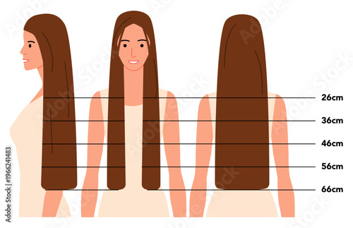 Flat color hair length guide with centimeter scale showing front, side back views, minimal vector illustration structured levels, designed for beauty education, salon reference and haircut measurement