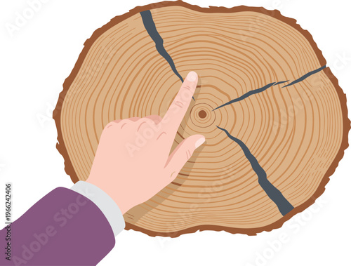 A hand touches a tree stump displaying tree rings. Illustrative, educational graphic. Clean, modern style. Perfect for nature, forestry, or science themes.