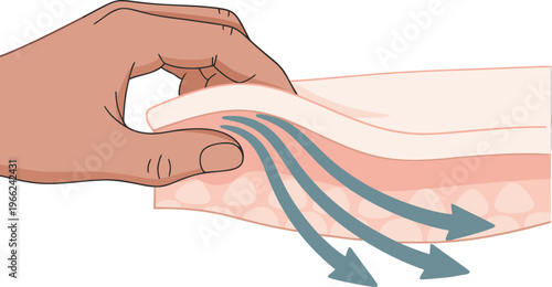 Illustration depicting skin elasticity and firmness hand gently presses against a layered skin surface showcasing a subtle texture and directional arrows indicating compression Clean modern style