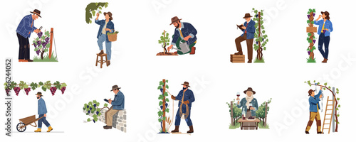Set of flat vector illustrations of vineyard workers and winemakers performing various tasks such as harvesting, planting, and wine tasting in a vineyard.