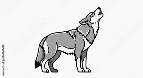 A lone wolf howling dramatically. The wolf stands tall with its head tilted up towards the sky and the mouth open