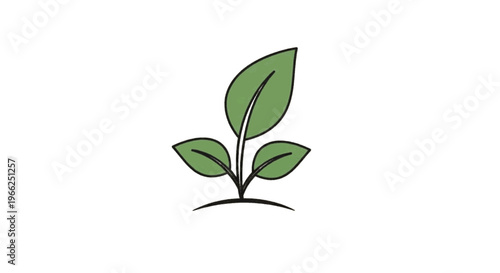 Vector illustration of hand drawn illustration of a small green sprout with three leaves on transparence background