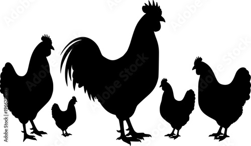 chicken silhouettes
