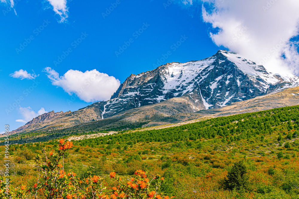 Fototapeta premium A dramatic snow-capped mountain rises above a vibrant valley filled with green forest and orange wildflowers in Torres del Paine National Park, Chile. 
