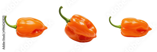 Habanero pepper (Capsicum chinense) very hot chili pepper isolated on white background, small orange chili produce