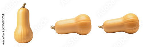 Fotografía Butternut squash (Cucurbita moschata) elongated tan winter squash isolated on wh