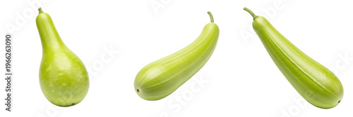 Bottle gourd (Lagenaria siceraria) long pale green gourd vegetable isolated on white background, lauki produce