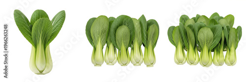 Baby bok choy (Brassica rapa subsp. chinensis) small tender asian cabbage vegetable isolated on white background, pak choi mini produce
