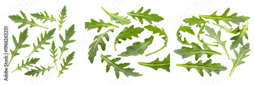 Foto Arugula leaves (Eruca vesicaria) peppery green salad leaves isolated on white ba