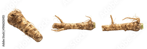 Fotografija Horseradish root (Armoracia rusticana) pungent white root vegetable isolated on