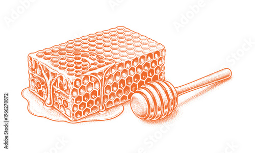 Natural organic honeycomb with honey dipper vector illustration, sweet golden syrup product.