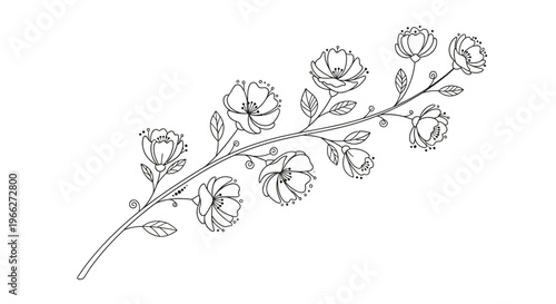 A delicate line drawing of a floral branch with roses and leaves.