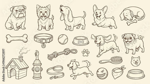 A charming collection of hand-drawn illustrations featuring various dog breeds and their accessories, presented in a vintage sketch style.