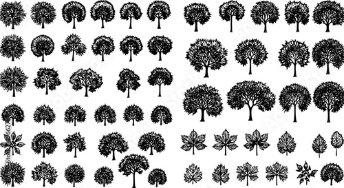 Diverse Tree and Leaf Silhouettes Vector Set: Black Outline Collection of Forest Plants, Park Foliage, and Botanical Icons for Nature Design Elements.