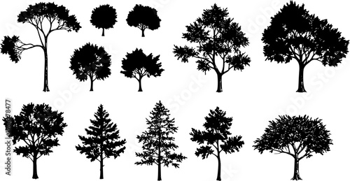 Detailed Vector Set of Diverse Tree Silhouettes: Black and White Illustration of Various Forest, Park, Deciduous, and Conifer Trees for Design