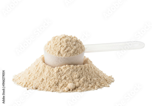 White scoop in a mound of beige whey protein powder isolated on a white background with ample copy space. Sports nutrition and wellness concept
