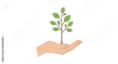 Hand holding small green plant sprout 1.