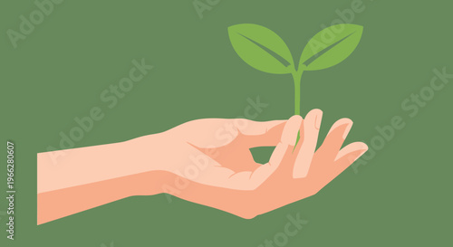 Hand holding small green plant sprout.