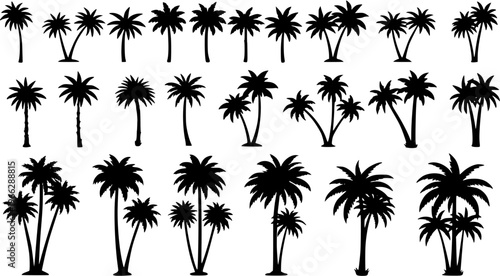 Collection of diverse black palm tree silhouettes, including single, double, and groups, representing tropical island nature, summer holidays, travel, paradise, and vacation.