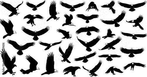 Majestic Bald Eagle Silhouette Collection: A Variety of Flight Poses