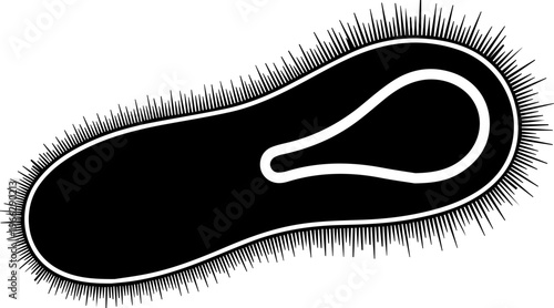 Detailed black and white representation of a single celled microorganism with spiky hair like features ready for scientific diagrams