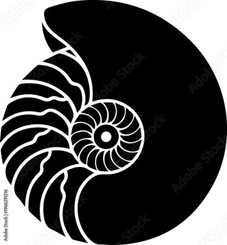 Elegant Nautilus shell spiral symbol representing growth, nature, and abstract geometric perfection