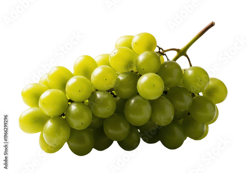Fresh bunch of green grapes with stem isolated on transparent background
