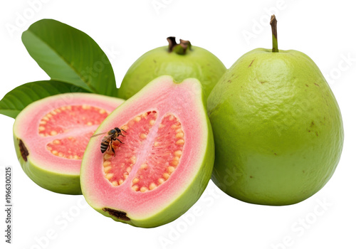 Fresh pink guavas with green leaves and a bee isolated on transparent background