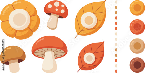 Autumn nature collection with various mushrooms and fallen leaves set on white background.