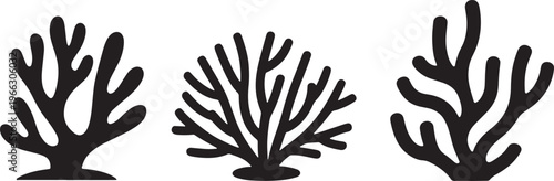 Set of three stylized organic coral branch vector illustrations for marine life design projects