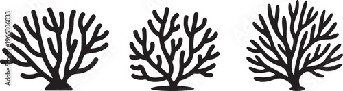 Set of three stylized organic coral branch vector illustrations for marine life design projects
