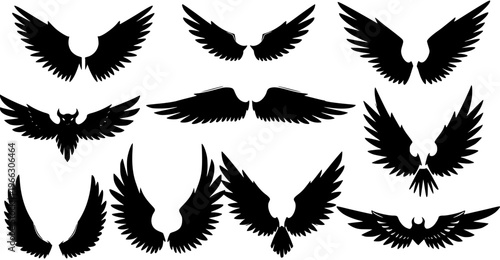 Vector Collection of Wings: Eagle, Angel, Bat, Devil - Black Silhouettes Isolated on White Background