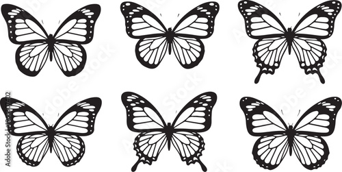 Black and white butterfly illustrations on a plain background