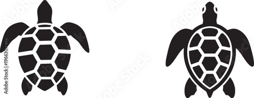 Two Silhouette Sea Turtles Detailed Shell Pattern Isolated on White Background Simple Graphic