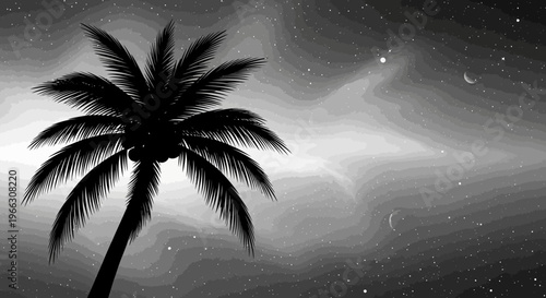 Silhouette of a palm tree against a starry sky monochrome artistic illustration