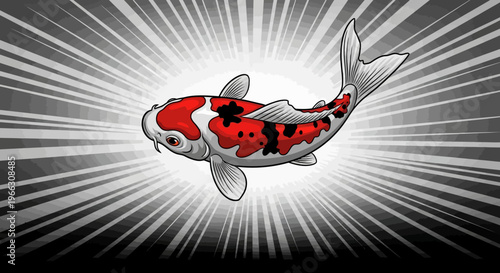 Koi carp fish with red and white markings against a burst background