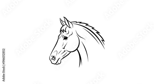 Detailed black and white line art illustration of a horse's head in profile, elegant equine drawing for design projects