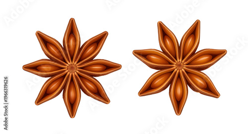 anise, spice, herb, seasoning, food, cooking, ingredient, aromatic, flavor, seed, pod, dry, organic, natural, botanical, plant, herbal, cuisine, kitchen, masala, asian, baking, dessert, tea, health, m