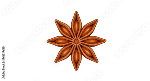 star anise illustration isolated on white background, dried star anise spice vector illustration clean design, star shaped anise spice illustration isolated background, star anise vector illustration 