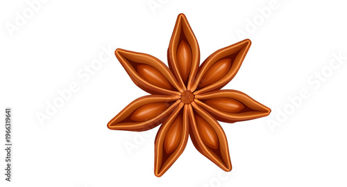 star anise illustration isolated on white background, dried star anise spice vector illustration clean design, star shaped anise spice illustration isolated background, star anise vector illustration 
