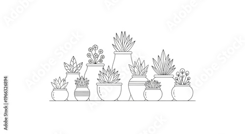 Line art illustration of various potted succulent plants in different containers.