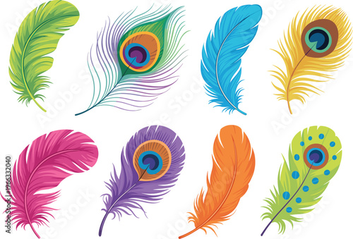 Set of colorful bird feathers and exotic peacock plumes for bohemian fashion design creative stationery and home decor ornament vector illustration.