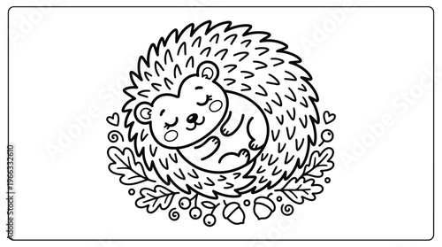 Sleeping Hedgehog Curled Up Tight.