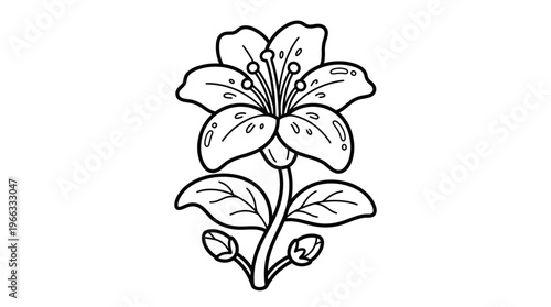 Detailed illustration of a single flower.